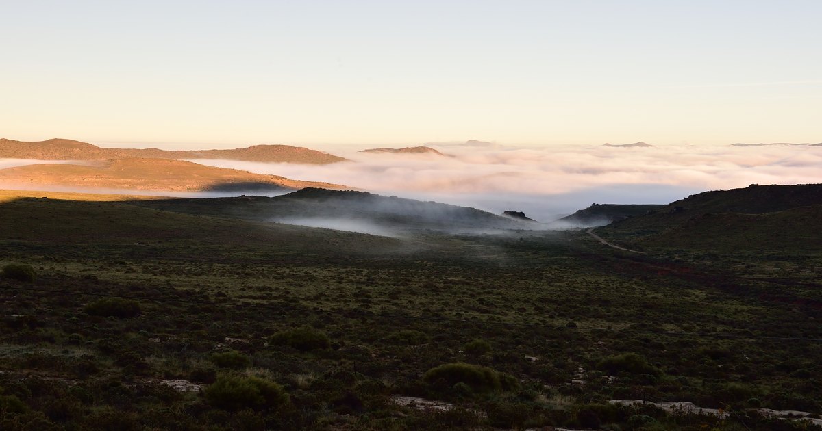 Paysage semi-aride du Karoo, en Afrique du Sud