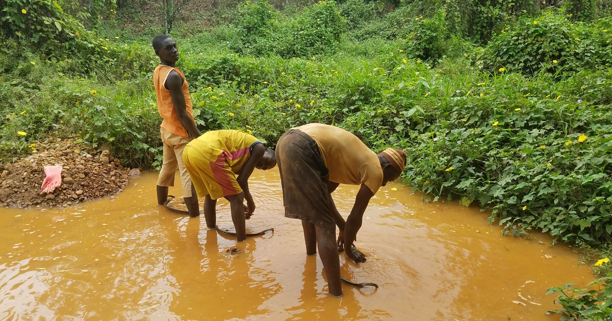 Un site d'orpaillage artisanal