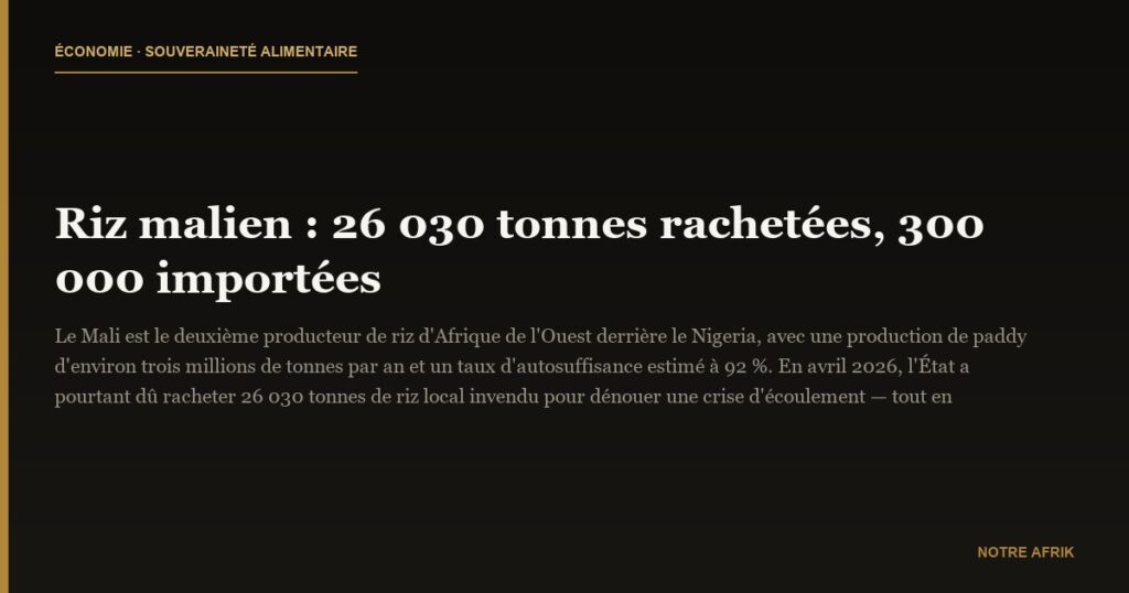 Riz malien : 26 030 tonnes rachetées, 300 000 importées