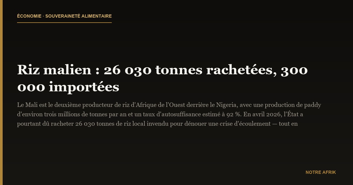 Riz malien : 26 030 tonnes rachetées, 300 000 importées