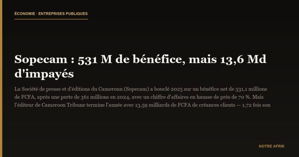 Sopecam : 531 M de bénéfice, mais 13,6 Md d'impayés