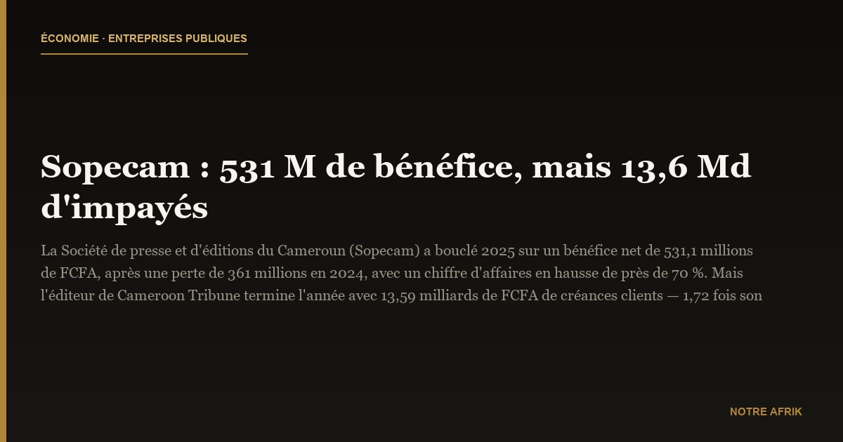 Sopecam : 531 M de bénéfice, mais 13,6 Md d'impayés