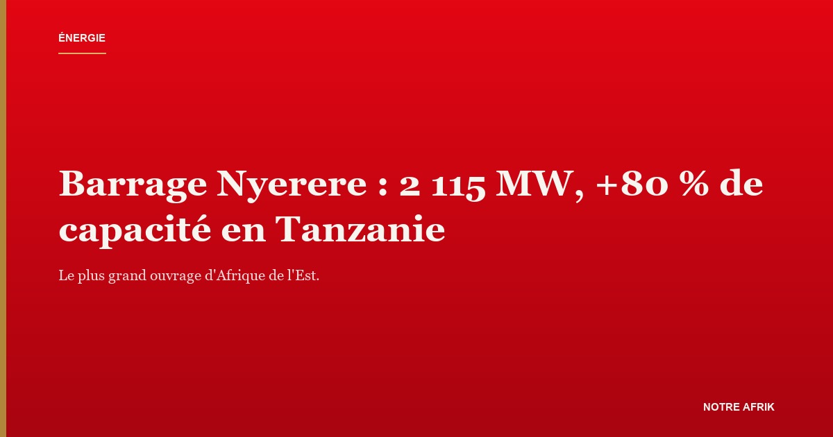 Barrage Nyerere sur le fleuve Rufiji, illustrant la nouvelle capacité hydroélectrique tanzanienne