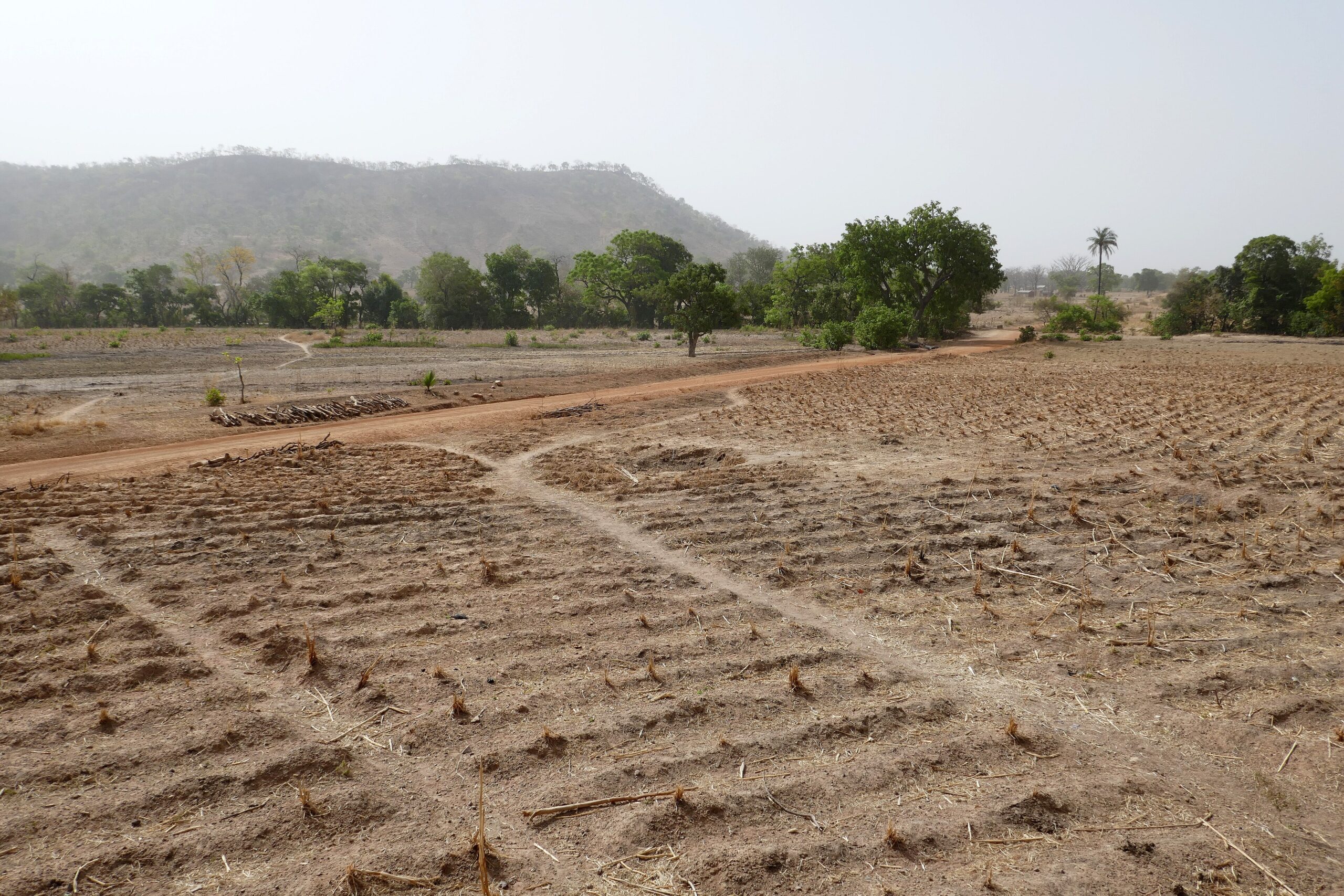 Champ préparé dans l'Atacora, au nord du Bénin, où l'assurance agricole couvre riz et coton