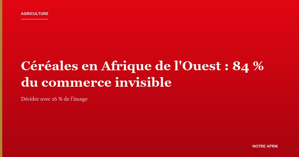Céréales en Afrique de l'Ouest : le commerce transfrontalier hors des statistiques