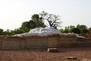 Tas de coton graine récolté dans un enclos au Bénin, premier producteur de la zone CFA