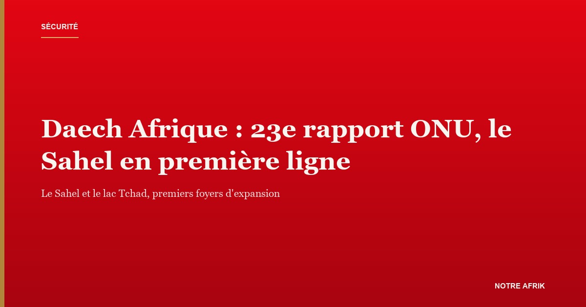 Rapport de l'ONU sur l'expansion de Daech en Afrique, Sahel et lac Tchad