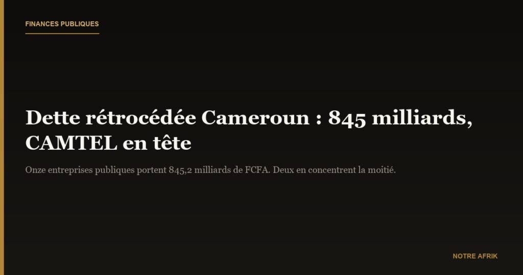 Dette rétrocédée au Cameroun : 845,2 milliards de FCFA portés par onze entreprises publiques