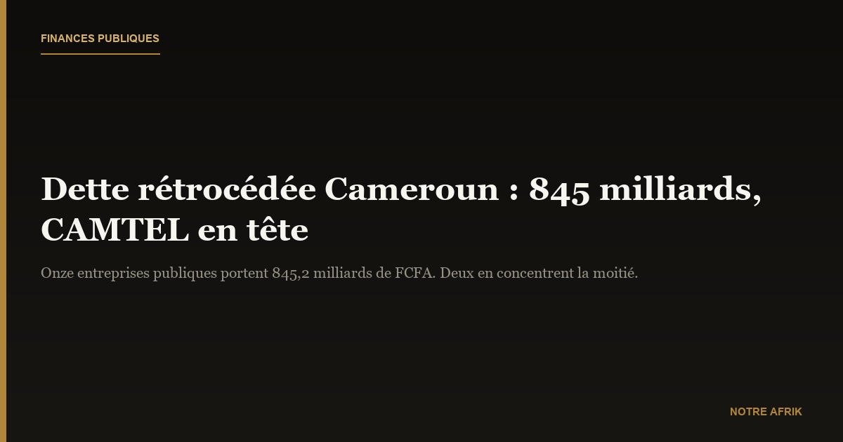 Dette rétrocédée au Cameroun : 845,2 milliards de FCFA portés par onze entreprises publiques