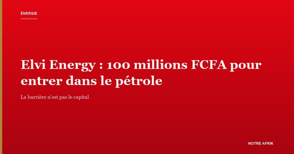 Elvi Energy : la nouvelle société pétrolière constituée à Yaoundé