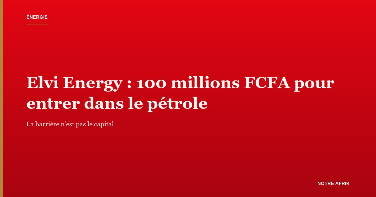 Elvi Energy : la nouvelle société pétrolière constituée à Yaoundé