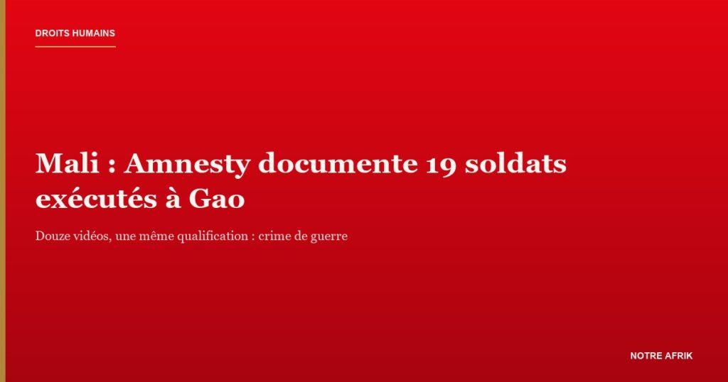 Mali : soldats capturés à Gao, exécutions documentées par Amnesty