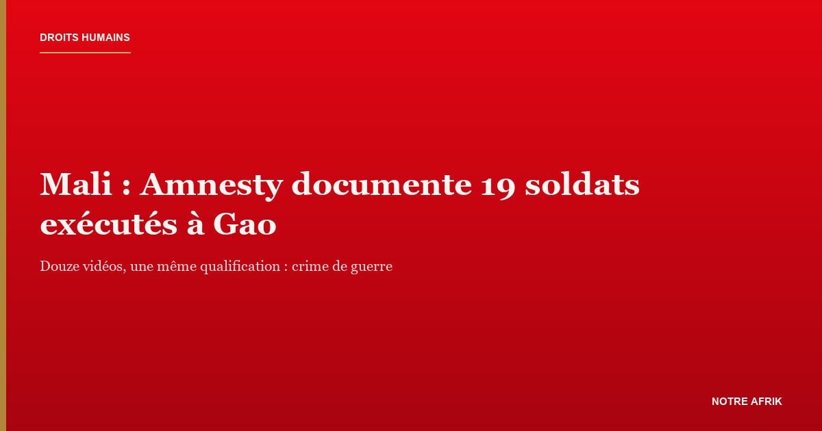 Mali : soldats capturés à Gao, exécutions documentées par Amnesty