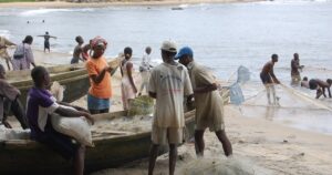 Pêcheurs artisanaux à Kribi, filière camerounaise concurrencée par les importations de poisson congelé