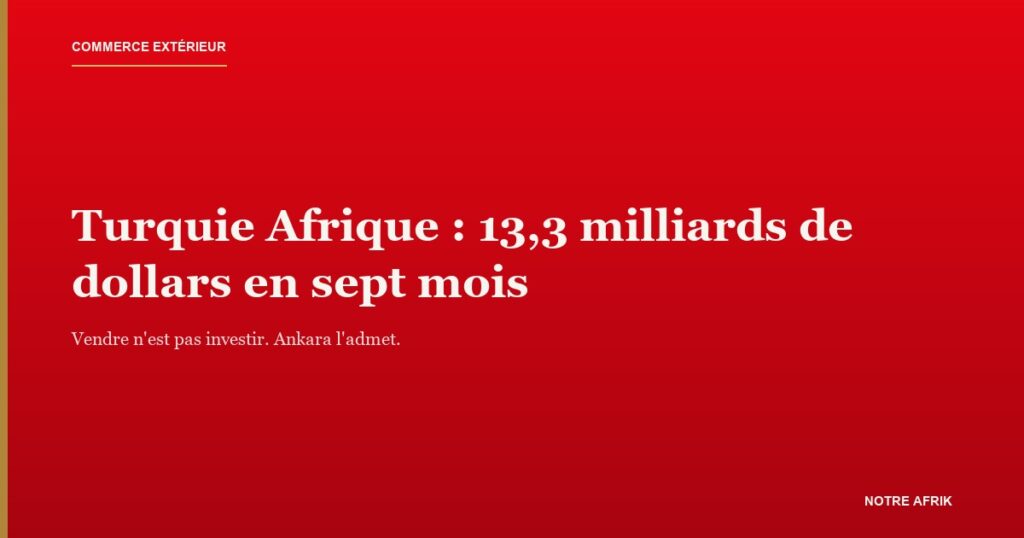 Porte-conteneurs à quai, illustrant les exportations de la Turquie vers l'Afrique