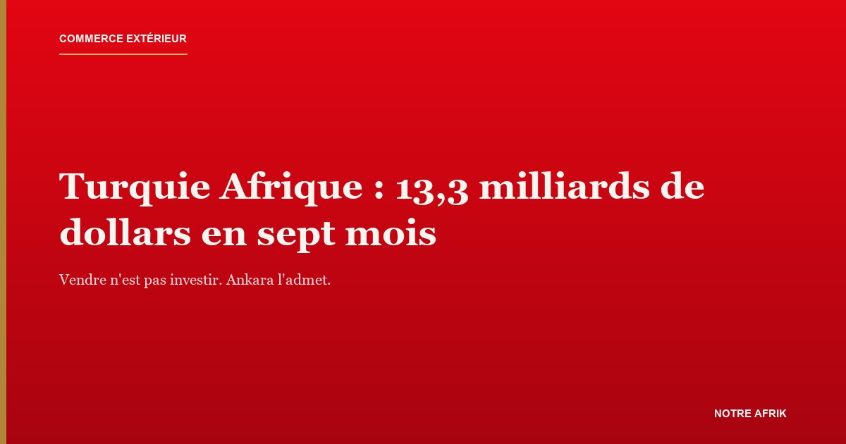 Porte-conteneurs à quai, illustrant les exportations de la Turquie vers l'Afrique