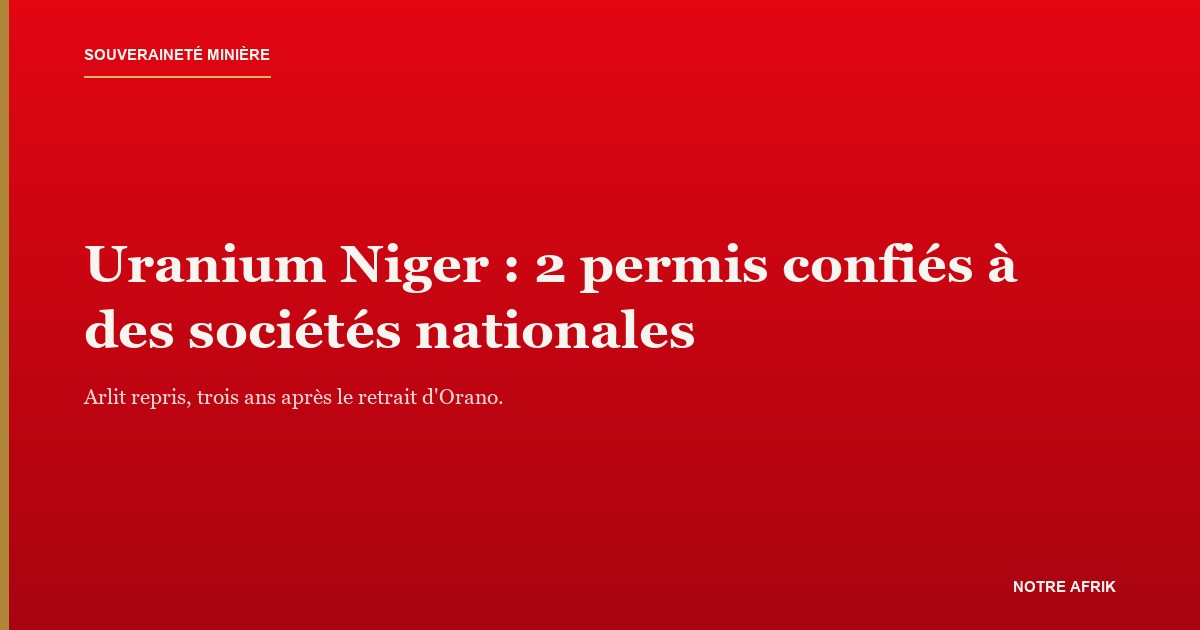 Minerai d'uranium, illustrant les permis attribués à des sociétés nationales au Niger