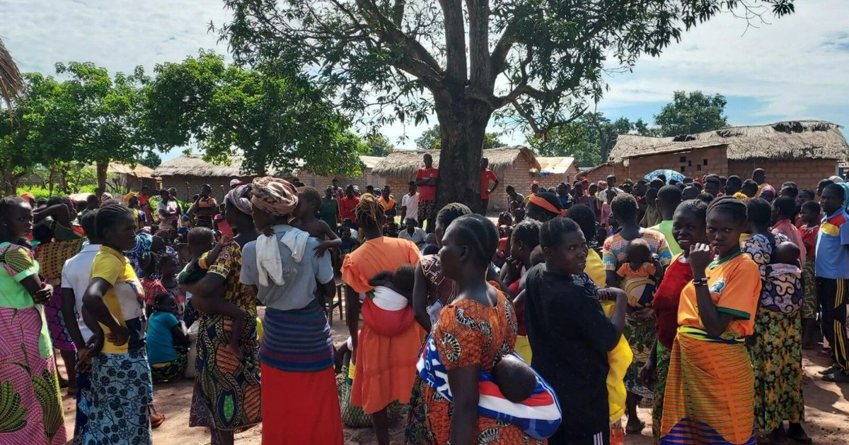 transhumance apaisée — Nana-Gribizi : À Badia-Salifou, la Mission multidimensionnelle intégrée des Nations Unies pour la