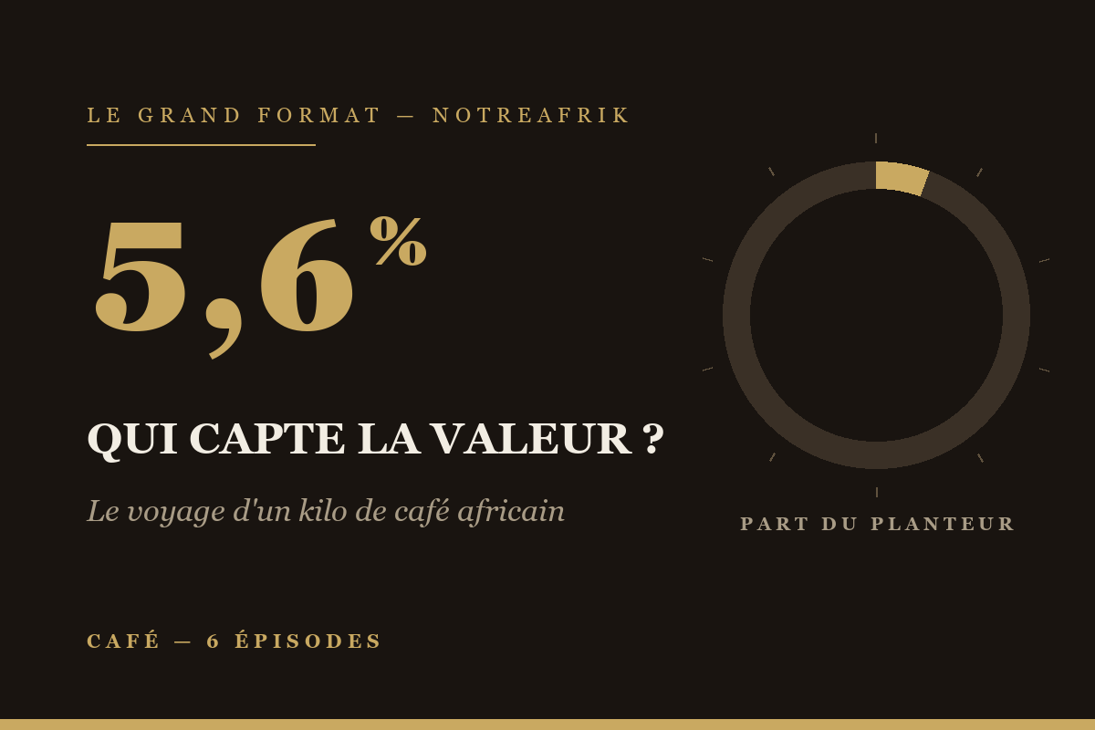 Café africain : qui capte la valeur ? — illustration du dossier