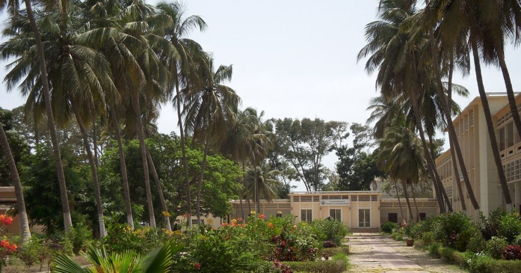 Drépanocytose Sénégal : la faculté de médecine et de pharmacie de Dakar