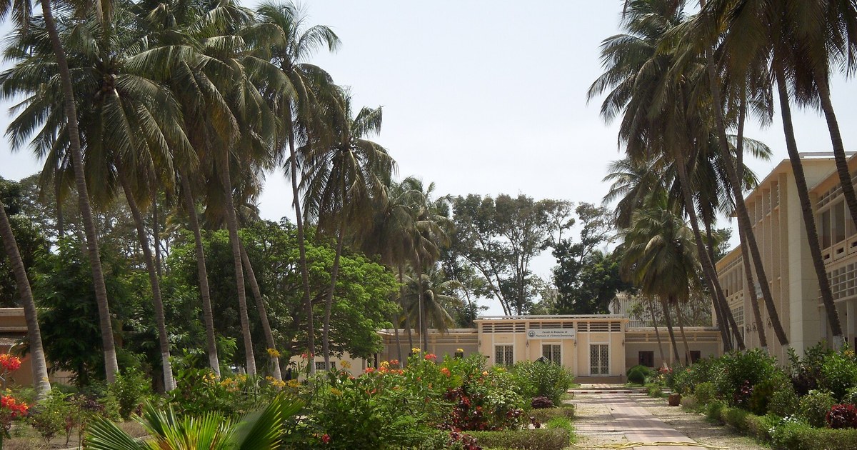 Drépanocytose Sénégal : la faculté de médecine et de pharmacie de Dakar