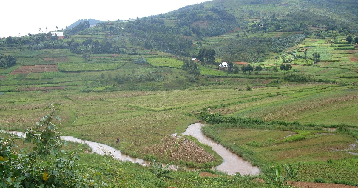 Vallée de la rivière Mubarazi au Burundi, collines cultivées exposées aux fortes pluies attendues avec El Niño