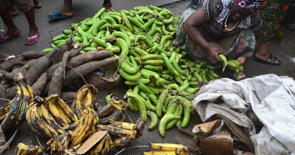 Vendeuse de banane-plantain sur un marché au Cameroun, filière qui envisage la BVMAC