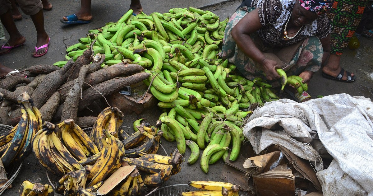 Vendeuse de banane-plantain sur un marché au Cameroun, filière qui envisage la BVMAC