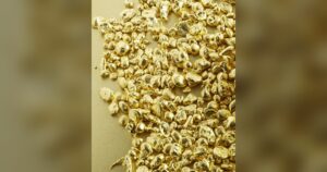 Granulés d'or fin, matière dont l'origine soudanaise disparaît au raffinage