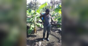 Agriculteur nigérian équipé d'un pulvérisateur à dos dans une bananeraie, filière exposée à la règle européenne sur les pesticides interdits
