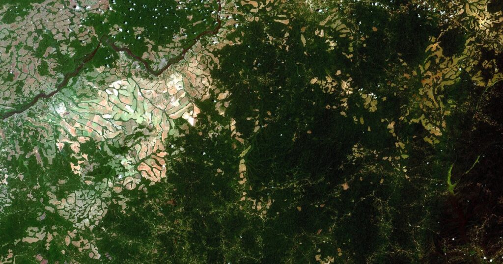 Vue satellite des plantations de canne à sucre de la Sosucam à Mbandjock, le long de la Sanaga, au Cameroun