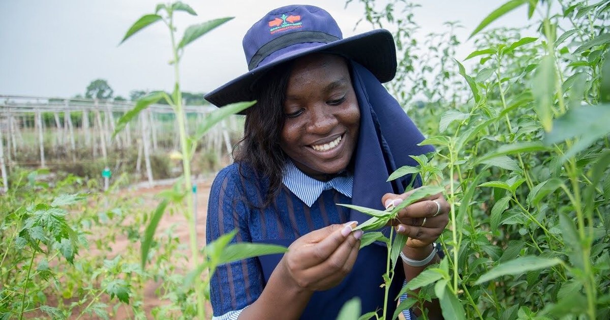 prix Borlaug — Les cultures traditionnelles africaines sur le devant de la scène mondiale: la chercheuse Pamela Afokpe r