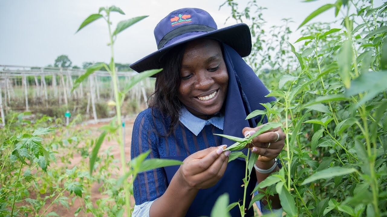 prix Borlaug — Les cultures traditionnelles africaines sur le devant de la scène mondiale: la chercheuse Pamela Afokpe r