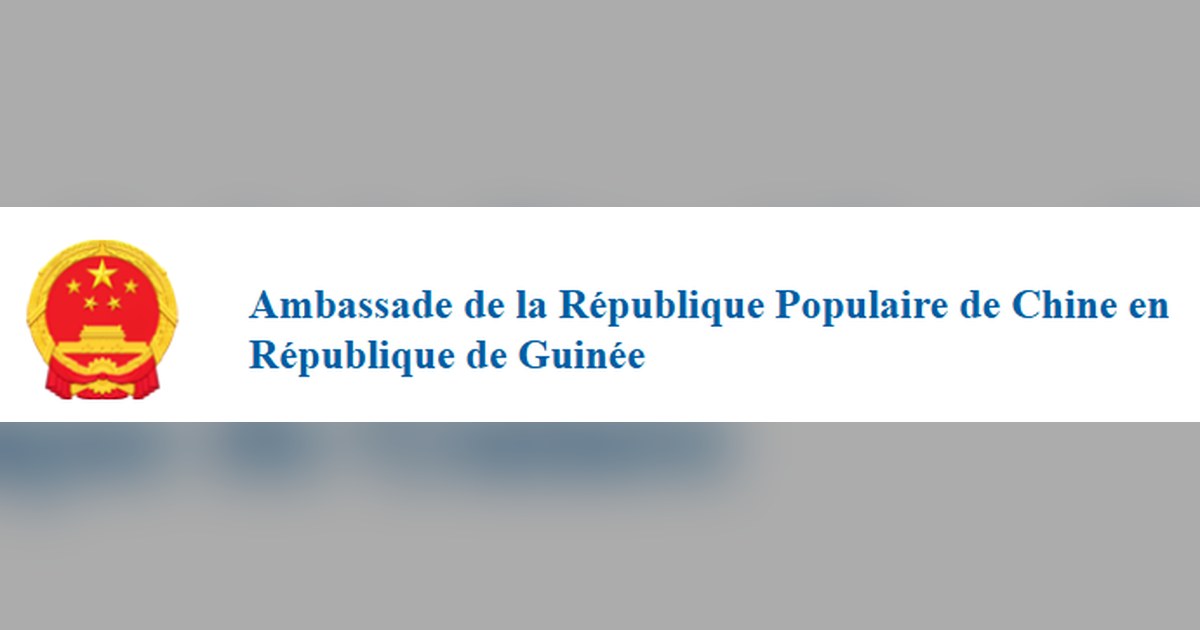 coopération sino-guinéenne — S.E.M. l’Ambassadeur SUN Yong a rencontré S.E.M. le Président de la République de Guinée Ma