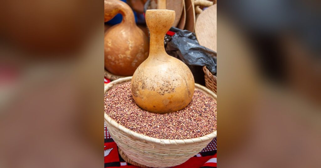 Mil rouge récolté au Burkina Faso, céréale dont les farines sont de nouveau interdites d'export