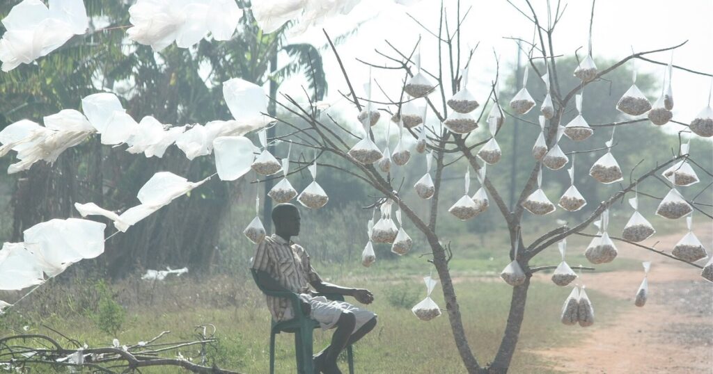 Un vendeur assis sous un arbre auquel pendent des sachets de noix de cajou, au bord d'une piste au Mozambique, pour illustrer la filière de l'anacarde est-africain