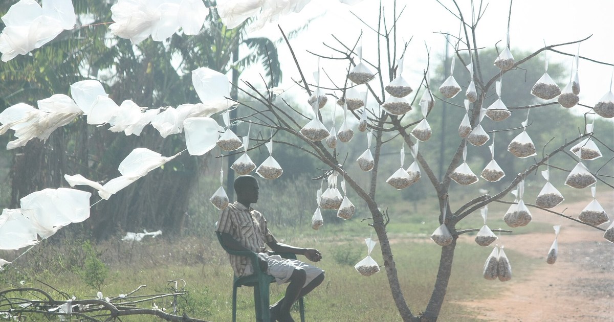 Un vendeur assis sous un arbre auquel pendent des sachets de noix de cajou, au bord d'une piste au Mozambique, pour illustrer la filière de l'anacarde est-africain