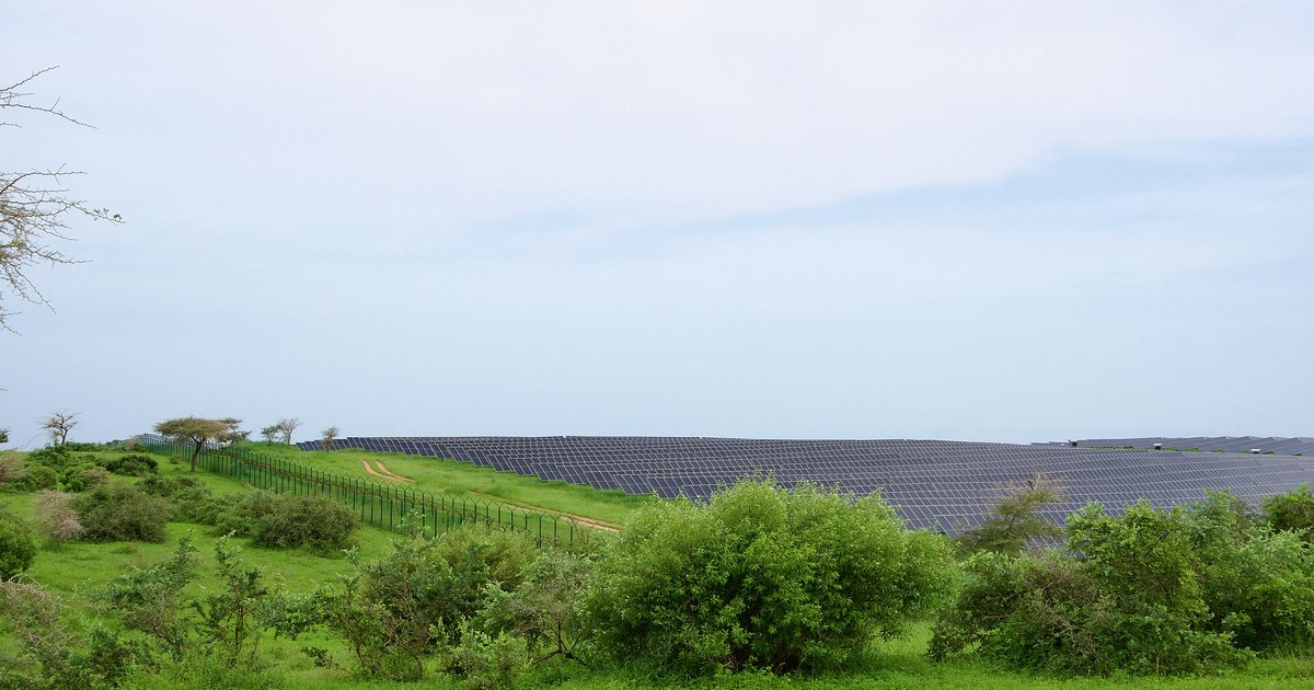 Rangées de panneaux d'une centrale solaire au Sénégal derrière une clôture, dans une savane verte de saison des pluies, pour illustrer l'objectif Sénégal renouvelables à 40 % en 2030