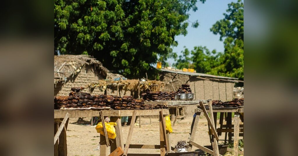 Étals de poisson fumé sur des tréteaux en bois devant des cases en terre au Cameroun, maillon artisanal de la transformation du poisson