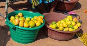 Mangues dans des bassines sur un marché de Bouaké, la mangue ivoirienne privée du marché européen