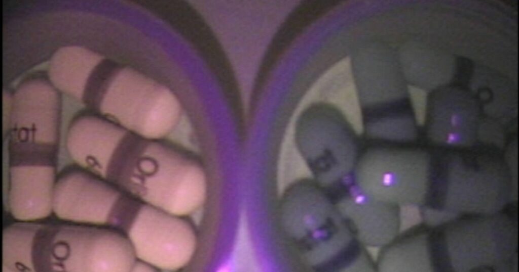 Gélules authentiques et faux médicaments comparés sous un détecteur de la FDA américaine