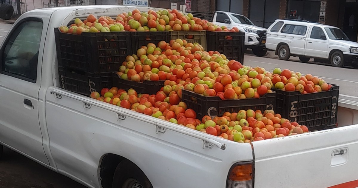 Chargement de tomates en caisses sur un pick-up, photo d'illustration de la pénurie de tomate à Nouakchott